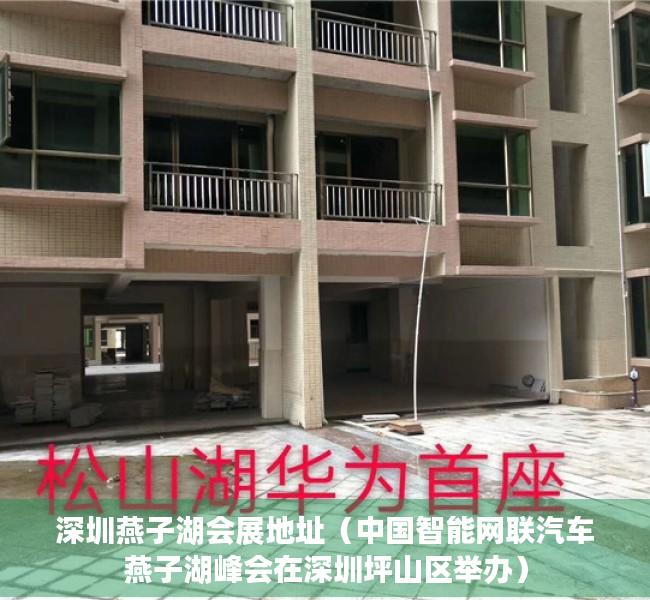 深圳燕子湖会展地址（中国智能网联汽车燕子湖峰会在深圳坪山区举办）