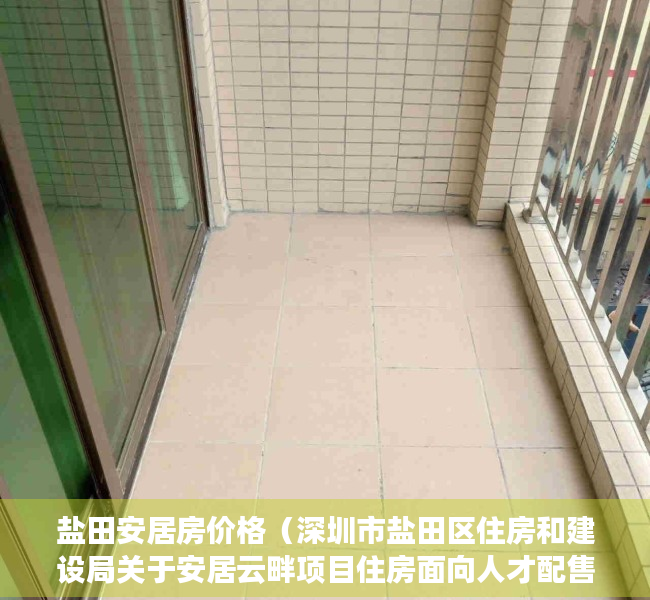 盐田安居房价格（深圳市盐田区住房和建设局关于安居云畔项目住房面向人才配售的通告）