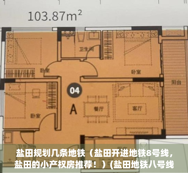 盐田规划几条地铁（盐田开进地铁8号线，盐田的小产权房推荐！）(盐田地铁八号线线路图)