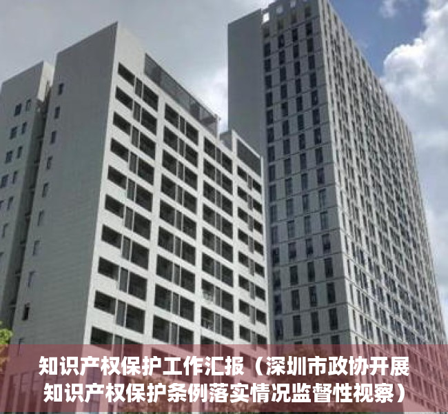 知识产权保护工作汇报（深圳市政协开展知识产权保护条例落实情况监督性视察）