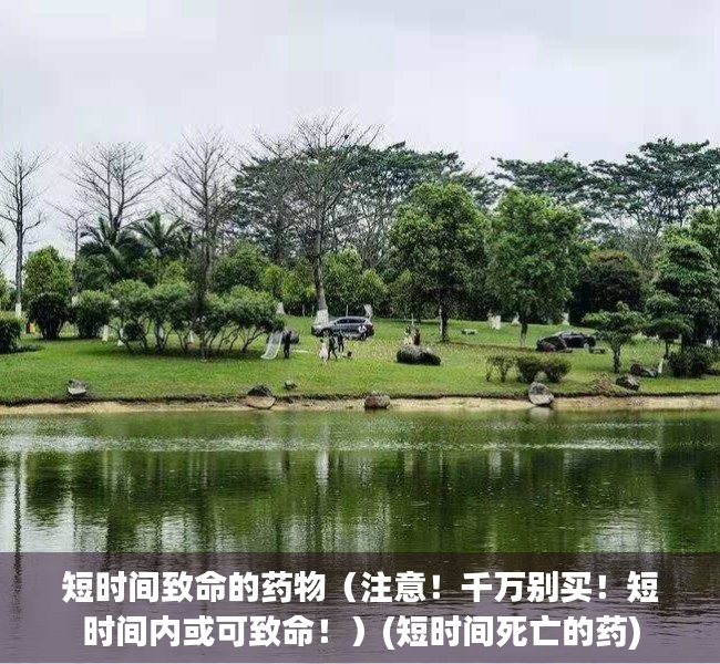 短时间致命的药物（注意！千万别买！短时间内或可致命！）(短时间死亡的药)