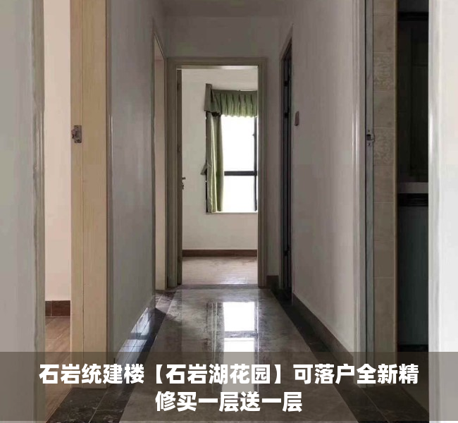 石岩统建楼【石岩湖花园】可落户全新精修买一层送一层