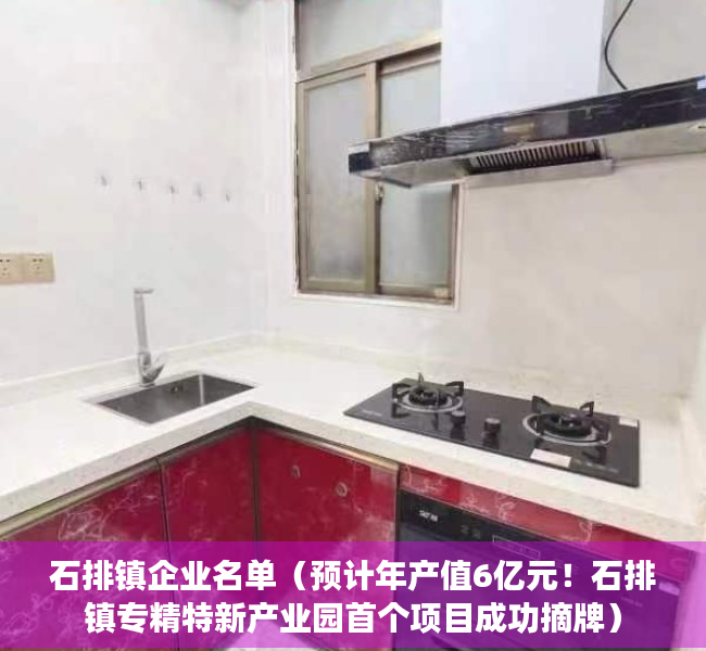石排镇企业名单（预计年产值6亿元！石排镇专精特新产业园首个项目成功摘牌）