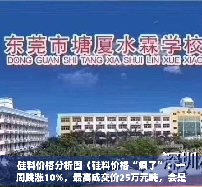 硅料价格分析图（硅料价格“疯了”：一周跳涨10%，最高成交价25万元吨，会是短期波动吗？）
