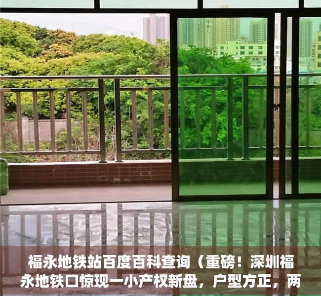 福永地铁站百度百科查询（重磅！深圳福永地铁口惊现一小产权新盘，户型方正，两房两厅仅50万）
