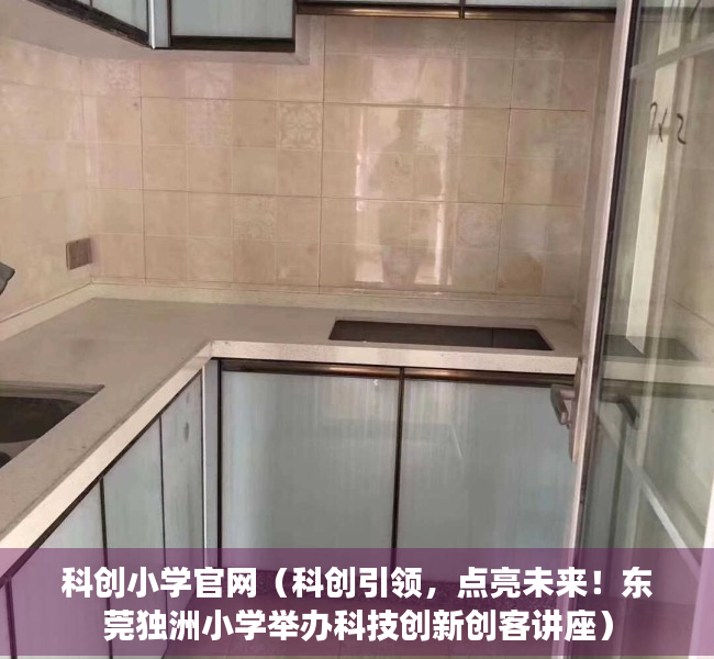 科创小学官网（科创引领，点亮未来！东莞独洲小学举办科技创新创客讲座）
