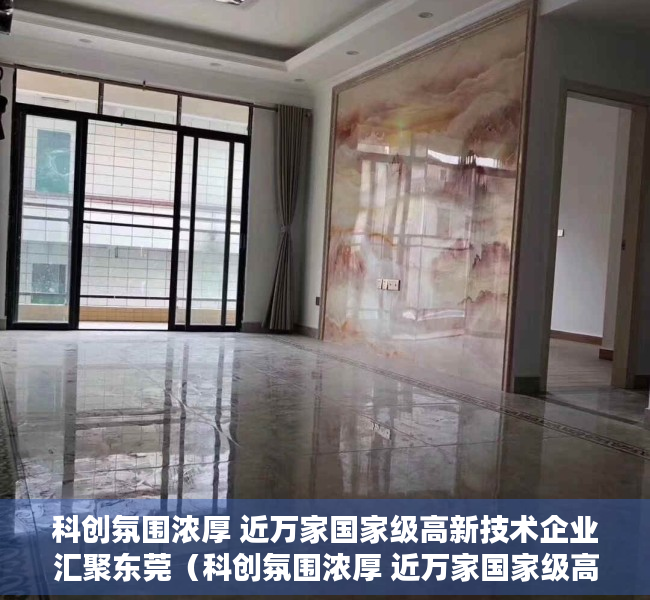 科创氛围浓厚 近万家国家级高新技术企业汇聚东莞（科创氛围浓厚 近万家国家级高新技术企业汇聚东莞）