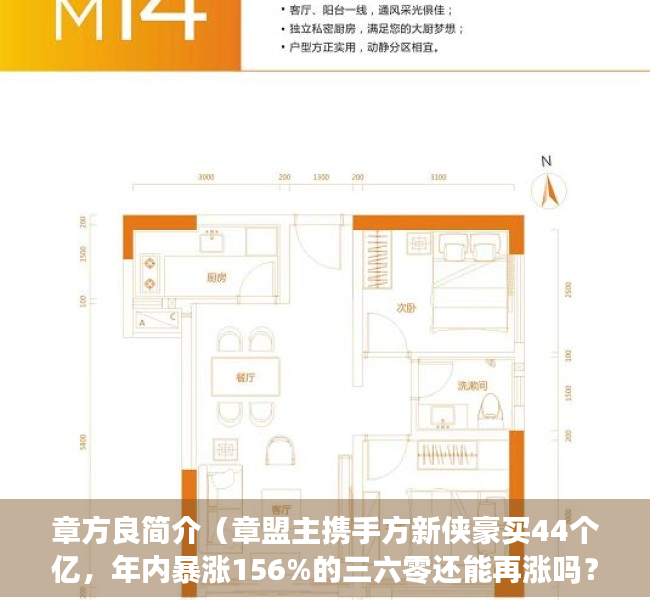章方良简介（章盟主携手方新侠豪买44个亿，年内暴涨156%的三六零还能再涨吗？）