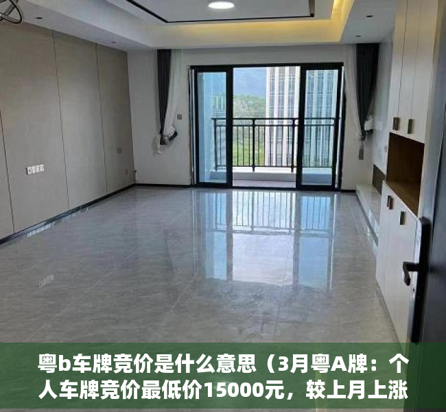 粤b车牌竞价是什么意思（3月粤A牌：个人车牌竞价最低价15000元，较上月上涨1500元）