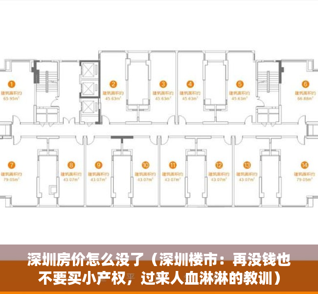 深圳房价怎么没了（深圳楼市：再没钱也不要买小产权，过来人血淋淋的教训）