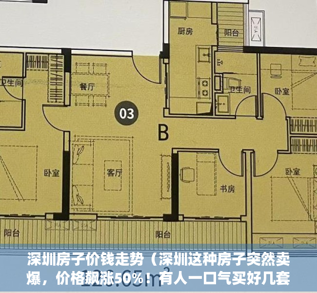 深圳房子价钱走势（深圳这种房子突然卖爆，价格飙涨50%！有人一口气买好几套！）