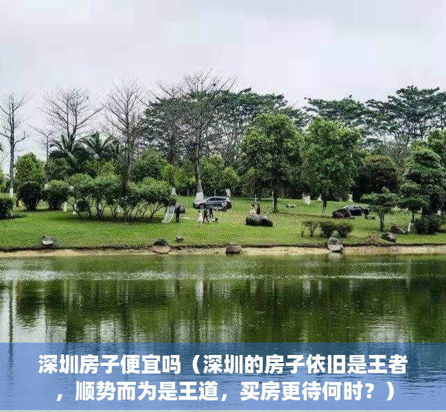 深圳房子便宜吗（深圳的房子依旧是王者，顺势而为是王道，买房更待何时？）