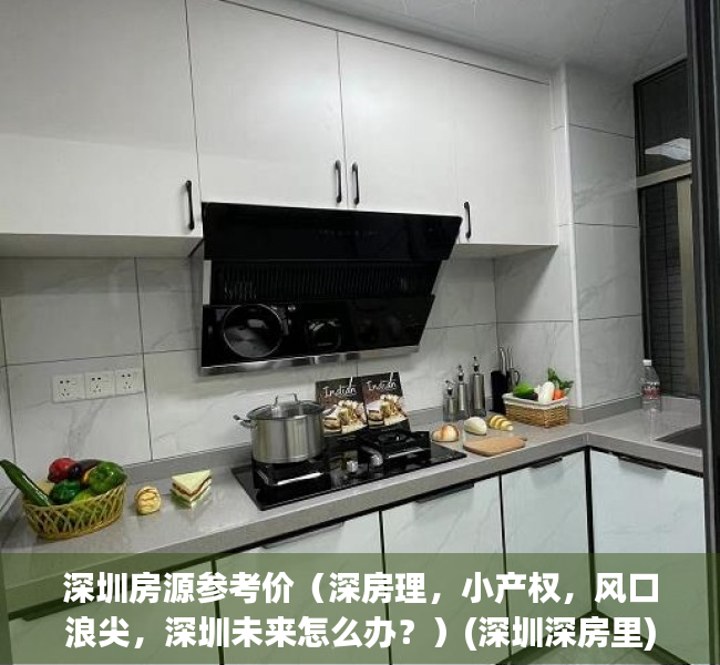 深圳房源参考价（深房理，小产权，风口浪尖，深圳未来怎么办？）(深圳深房里)