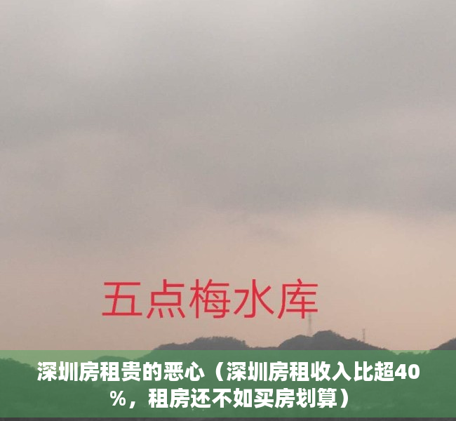 深圳房租贵的恶心（深圳房租收入比超40%，租房还不如买房划算）