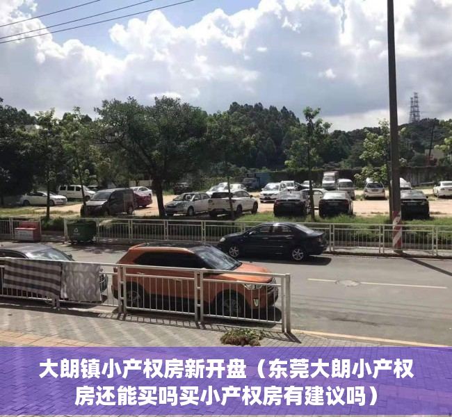 大朗镇小产权房新开盘（东莞大朗小产权房还能买吗买小产权房有建议吗）
