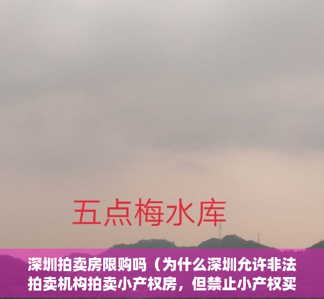 深圳拍卖房限购吗（为什么深圳允许非法拍卖机构拍卖小产权房，但禁止小产权买卖？）