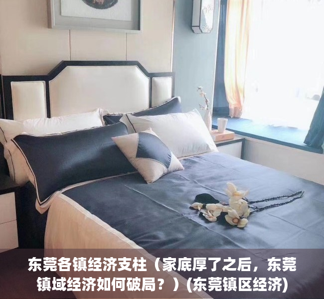 东莞各镇经济支柱（家底厚了之后，东莞镇域经济如何破局？）(东莞镇区经济)
