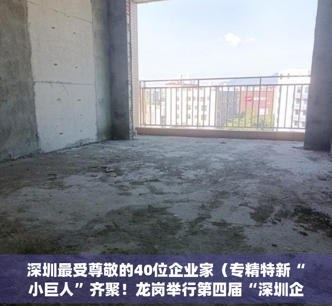 深圳最受尊敬的40位企业家（专精特新“小巨人”齐聚！龙岗举行第四届“深圳企业家日”主题活动）