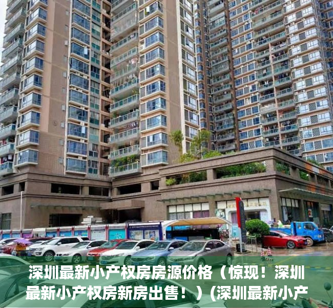 深圳最新小产权房房源价格（惊现！深圳最新小产权房新房出售！）(深圳最新小产权房价网)