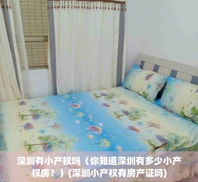 深圳有小产权吗（你知道深圳有多少小产权房？）(深圳小产权有房产证吗)