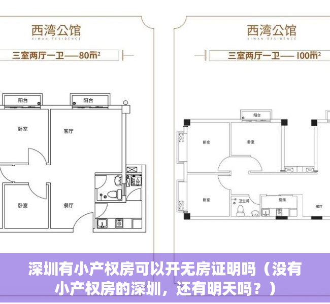 深圳有小产权房可以开无房证明吗（没有小产权房的深圳，还有明天吗？）