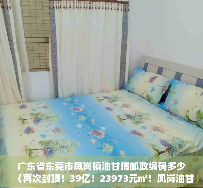 广东省东莞市凤岗镇油甘埔邮政编码多少（再次封顶！39亿！23973元㎡！凤岗油甘埔！润恒的！）