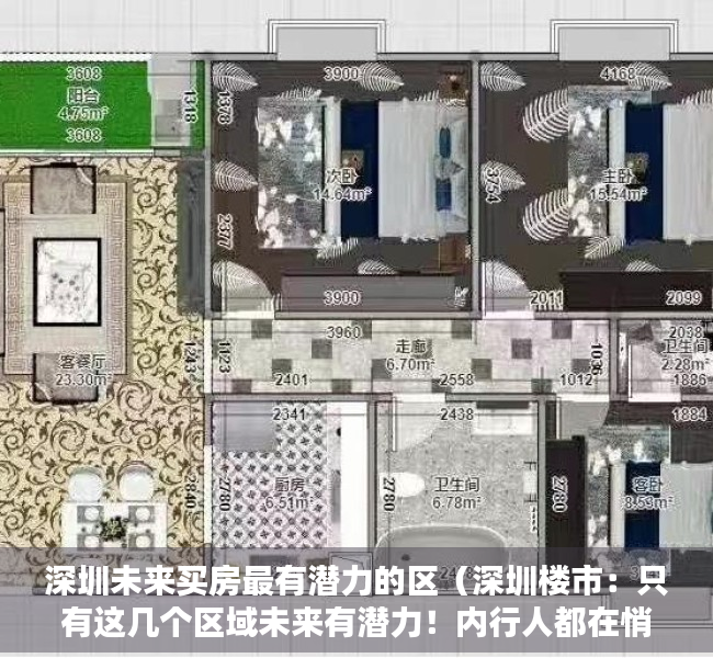 深圳未来买房最有潜力的区（深圳楼市：只有这几个区域未来有潜力！内行人都在悄悄布局）