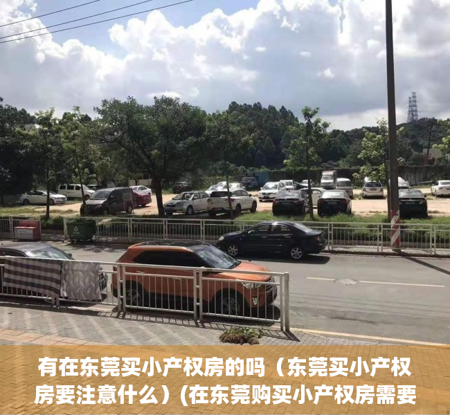 有在东莞买小产权房的吗（东莞买小产权房要注意什么）(在东莞购买小产权房需要办什么手续?)