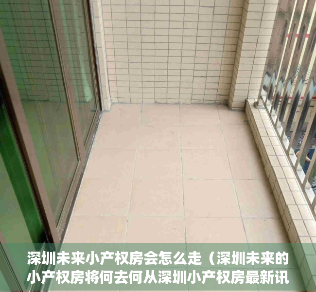 深圳未来小产权房会怎么走（深圳未来的小产权房将何去何从深圳小产权房最新讯息）