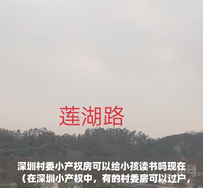 深圳村委小产权房可以给小孩读书吗现在（在深圳小产权中，有的村委房可以过户，有的为什么不行？）