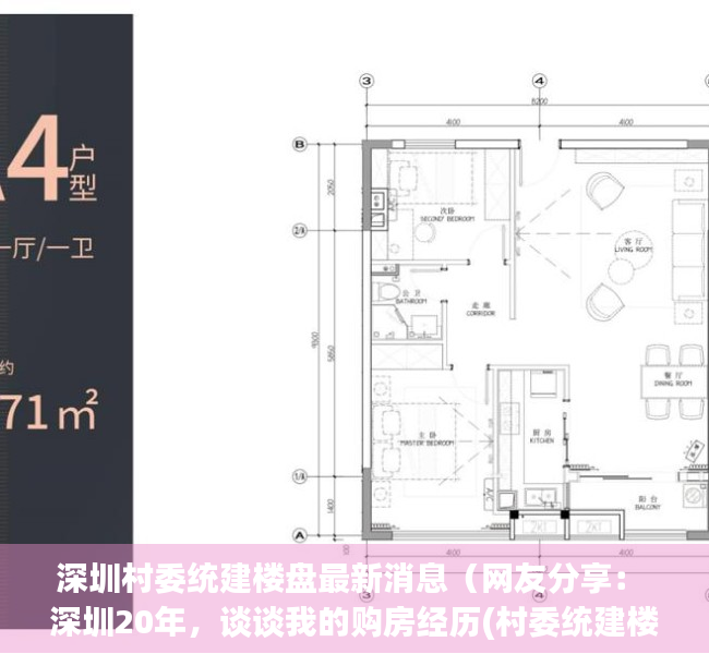深圳村委统建楼盘最新消息（网友分享： 深圳20年，谈谈我的购房经历(村委统建楼)）