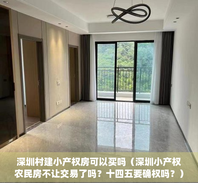 深圳村建小产权房可以买吗（深圳小产权农民房不让交易了吗？十四五要确权吗？）