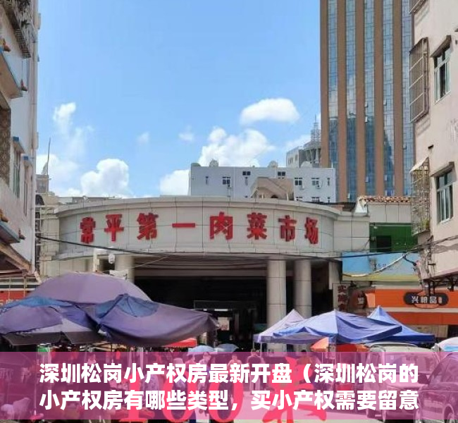 深圳松岗小产权房最新开盘（深圳松岗的小产权房有哪些类型，买小产权需要留意什么）
