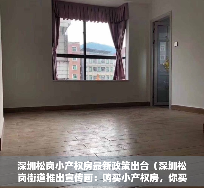 深圳松岗小产权房最新政策出台（深圳松岗街道推出宣传画：购买小产权房，你买到的将是个隐患）