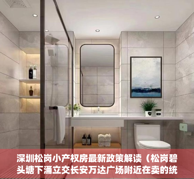 深圳松岗小产权房最新政策解读（松岗碧头塘下涌立交长安万达广场附近在卖的统建楼小产权房）