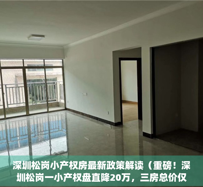 深圳松岗小产权房最新政策解读（重磅！深圳松岗一小产权盘直降20万，三房总价仅61万，）
