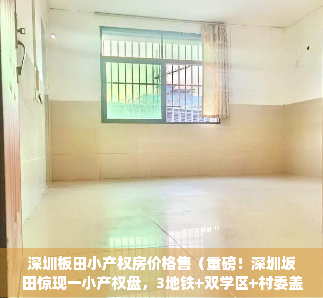 深圳板田小产权房价格售（重磅！深圳坂田惊现一小产权盘，3地铁+双学区+村委盖章，价格仅348万一套起。）