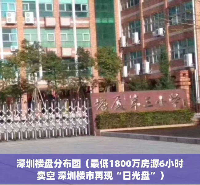 深圳楼盘分布图（最低1800万房源6小时卖空 深圳楼市再现“日光盘”）