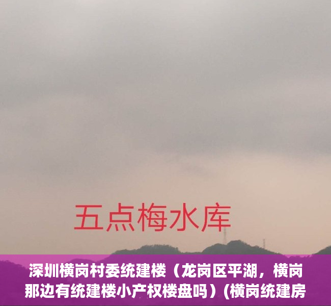 深圳横岗村委统建楼（龙岗区平湖，横岗那边有统建楼小产权楼盘吗）(横岗统建房)
