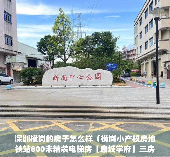 深圳横岗的房子怎么样（横岗小产权房地铁站800米精装电梯房【康城学府】三房首付50万起）