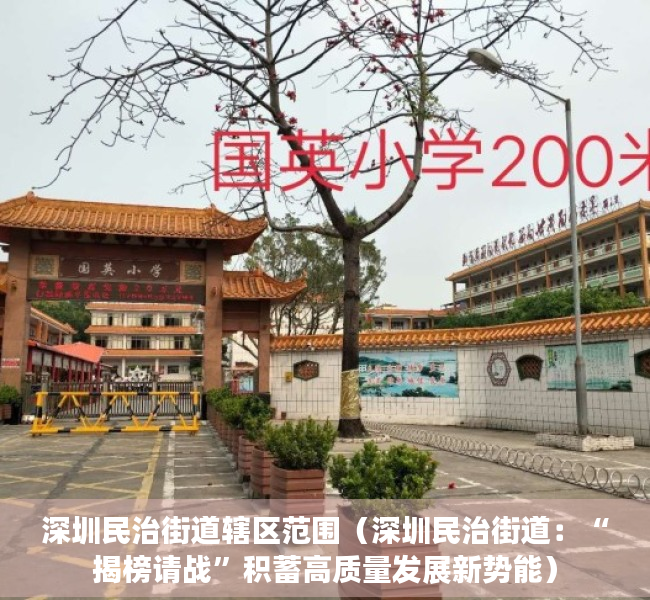 深圳民治街道辖区范围（深圳民治街道：“揭榜请战”积蓄高质量发展新势能）