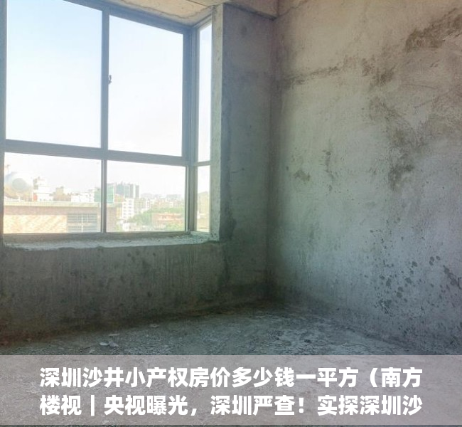 深圳沙井小产权房价多少钱一平方（南方楼视｜央视曝光，深圳严查！实探深圳沙井小产权房）
