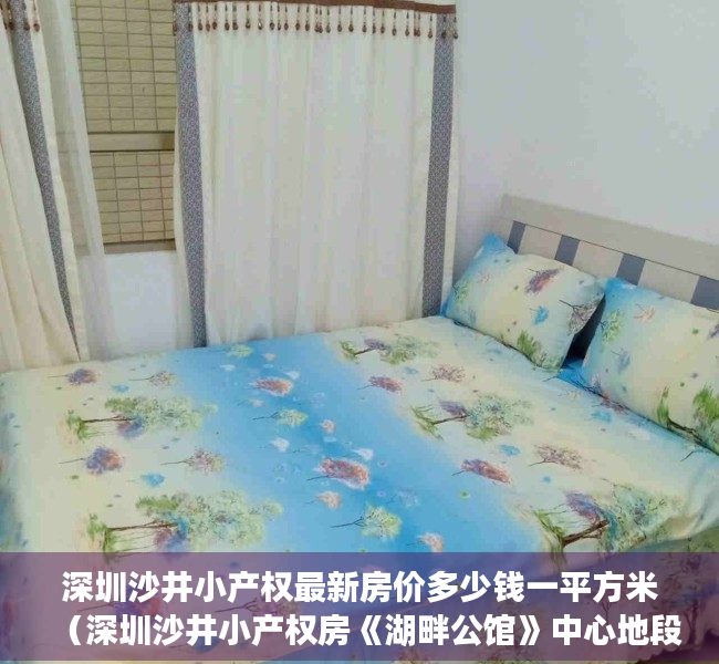 深圳沙井小产权最新房价多少钱一平方米（深圳沙井小产权房《湖畔公馆》中心地段200套全新大盘首付10W起）