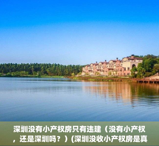 深圳没有小产权房只有违建（没有小产权，还是深圳吗？）(深圳没收小产权房是真的吗)