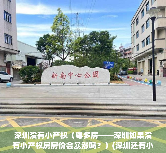 深圳没有小产权（粤多房——深圳如果没有小产权房房价会暴涨吗？）(深圳还有小产权房吗)