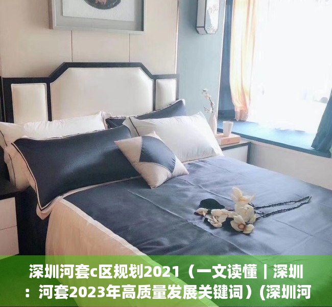 深圳河套c区规划2021（一文读懂｜深圳：河套2023年高质量发展关键词）(深圳河套最新规划)