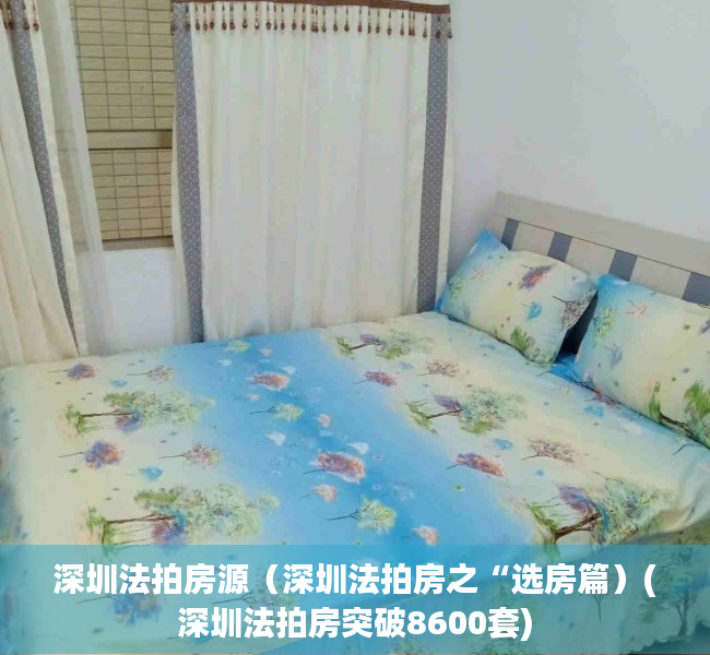 深圳法拍房源（深圳法拍房之“选房篇）(深圳法拍房突破8600套)