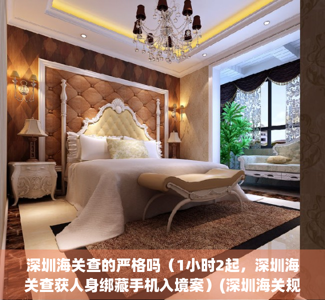 深圳海关查的严格吗（1小时2起，深圳海关查获人身绑藏手机入境案）(深圳海关规定)