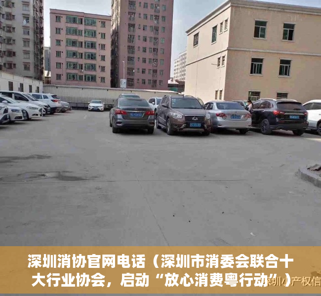 深圳消协官网电话（深圳市消委会联合十大行业协会，启动“放心消费粤行动”）