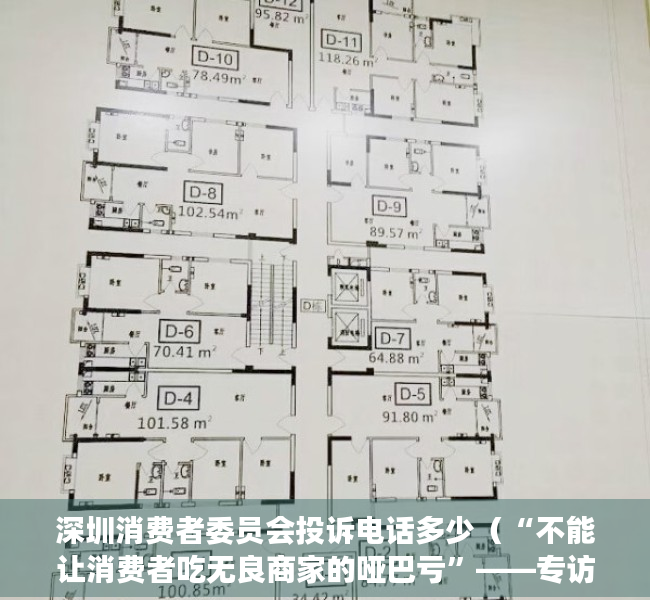 深圳消费者委员会投诉电话多少（“不能让消费者吃无良商家的哑巴亏”——专访深圳市消委会百人律师团团长陈伟）